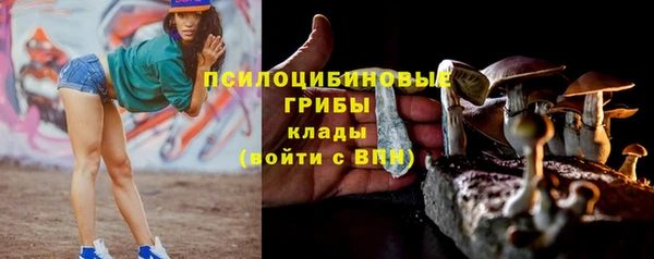 дурь Алзамай