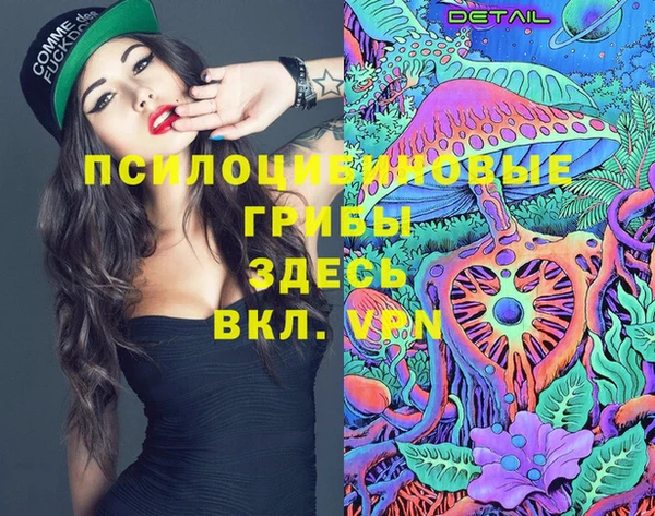 дурь Алзамай