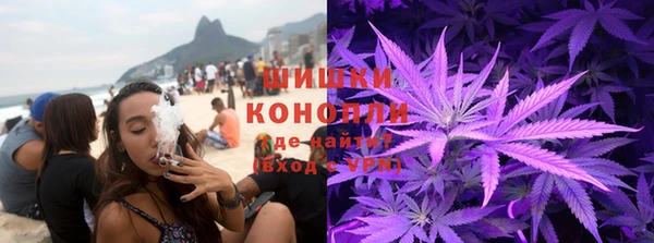 PSILOCYBIN Алексеевка