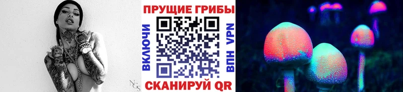 Галлюциногенные грибы Psilocybe  наркотики  ОМГ ОМГ вход  Конаково 