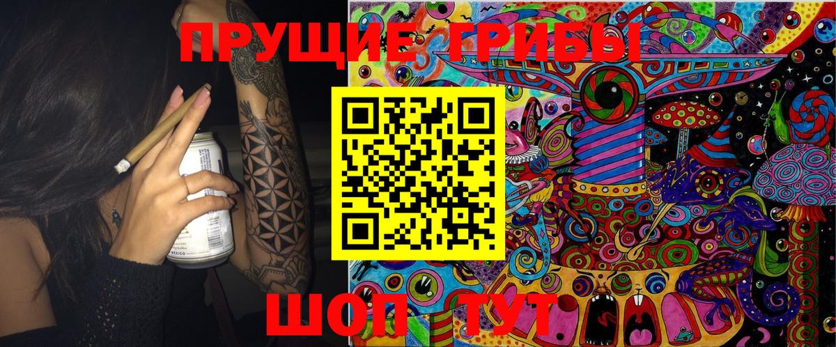Конаково  Псилоцибиновые грибы Psilocybe  Вход с VPN 