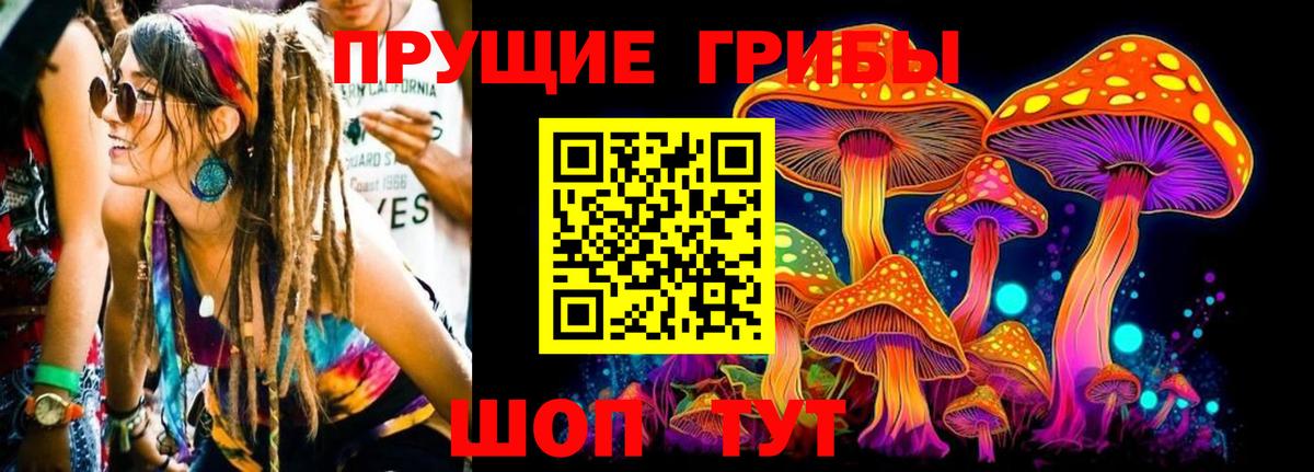 Галлюциногенные грибы Cubensis Конаково