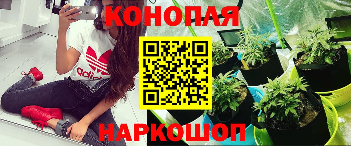 Марихуана индика  МАРИХУАНА OG Kush  Конаково  Марихуана Bruce Banner  Вход с VPN 